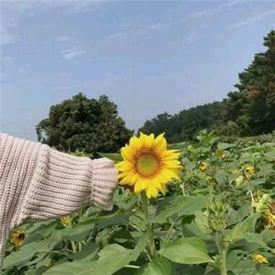 魔兽神意之战2游戏